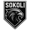 Sokoli